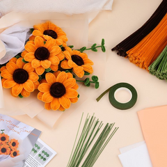 Pipe Cleaner Craft- Beginner Friendly