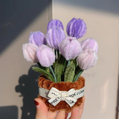 Pipe Cleaner Craft- Beginner Friendly